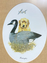 Load image into Gallery viewer, Remington Canadian Goose Decoy Yellow Lab Matted Framed Print (15.5”x19”)