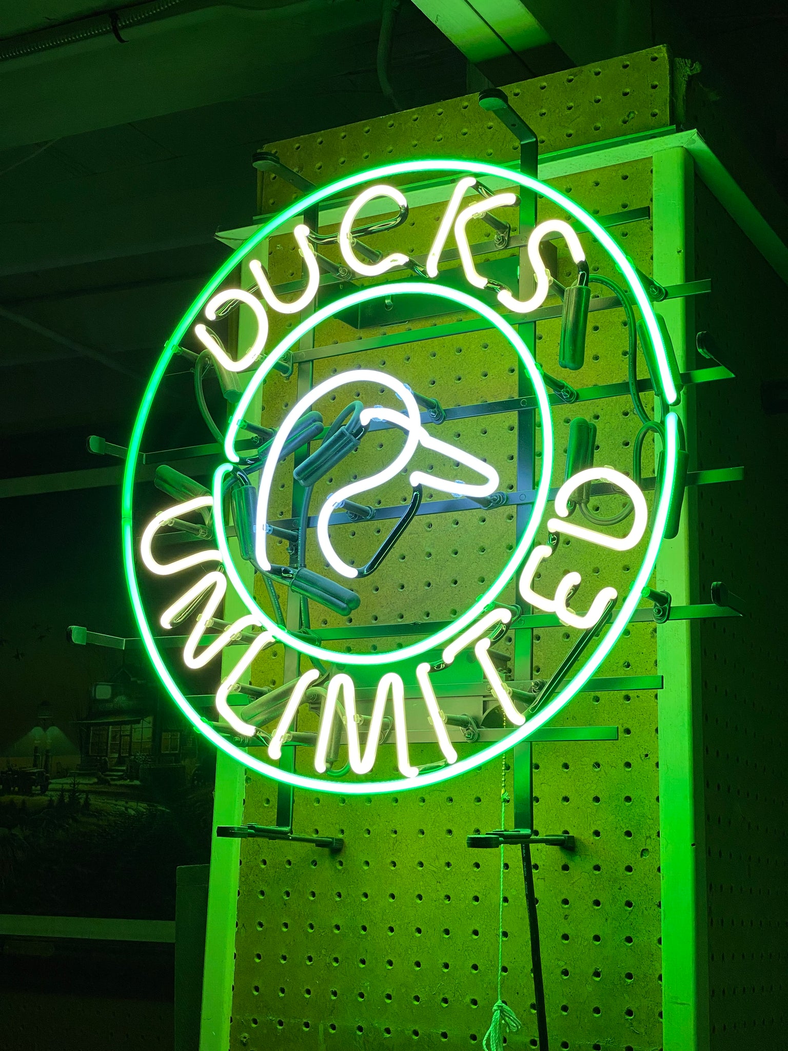 Ducks Unlimited Neon Sign (22”x22”)