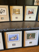 Load image into Gallery viewer, Federal &amp; Arkansas Duck Stamp Print Collection Signed and Numbered in Matching Frames (1980-1986)