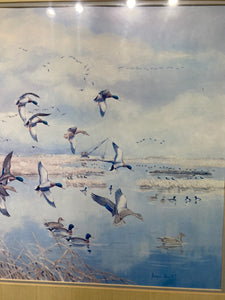 Angus Short Wetland Habitat Print (35”x28.5”)
