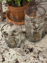 Load image into Gallery viewer, Gold Rimmed Mallard/Wood Duck/ Black Duck Glass Set (4)