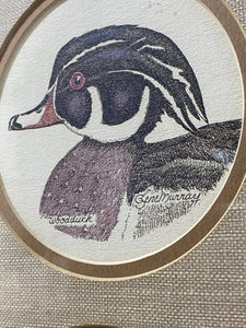 Gene Murray Pencil Etch Wood Duck Pintail Matted & Framed Print (9.5”x15.5”)