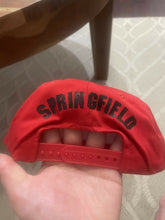 Load image into Gallery viewer, Vintage Springfield Armory Snap Back