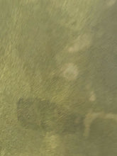 Load image into Gallery viewer, IMG_8867