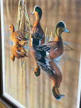 Load image into Gallery viewer, ‘19 Sunshine Wigeon by Richard Clifton Framed #533/2000 (27.5”x33”)
