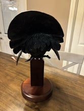 Load image into Gallery viewer, "Spring Ritual" NWTF Statue