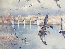 Load image into Gallery viewer, Angus Short Wetland Habitat Print (35”x28.5”)