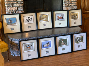 Federal & Arkansas Duck Stamp Print Collection Signed and Numbered in Matching Frames (1980-1986)
