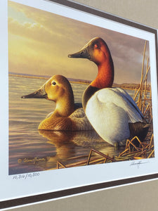 Adam Grimm 2015 Federal Duck Stamp Ducks Unlimited Framed Print (20.75”x19.50”)