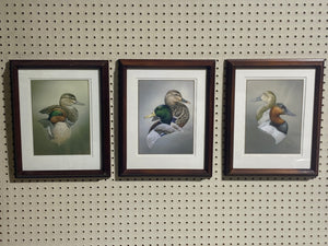 Meline Duck Prints Matted and Framed Set (12.75”x15.75”)