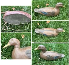 Load image into Gallery viewer, Lot Of 7 1946 Victor Veri-Lite Mallard Duck Decoy ANIMAL TRAP CO PAPER MACHE