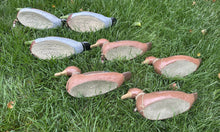 Load image into Gallery viewer, Lot Of 7 1946 Victor Veri-Lite Mallard Duck Decoy ANIMAL TRAP CO PAPER MACHE