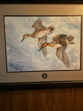 Load image into Gallery viewer, DU of Mexico Greenwing Teal Print