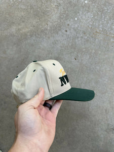 Vintage Team NWTF Hat