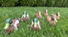 Load image into Gallery viewer, Lot Of 7 1946 Victor Veri-Lite Mallard Duck Decoy ANIMAL TRAP CO PAPER MACHE