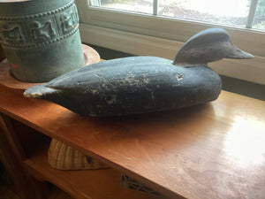 Vintage black duck decoys