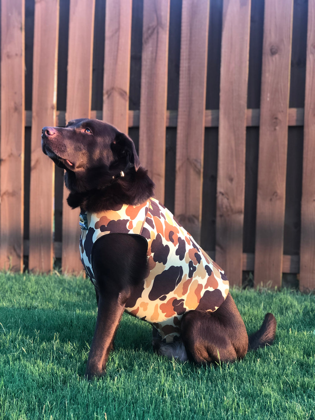 Cabela's Dog Vest (XL & XXL)