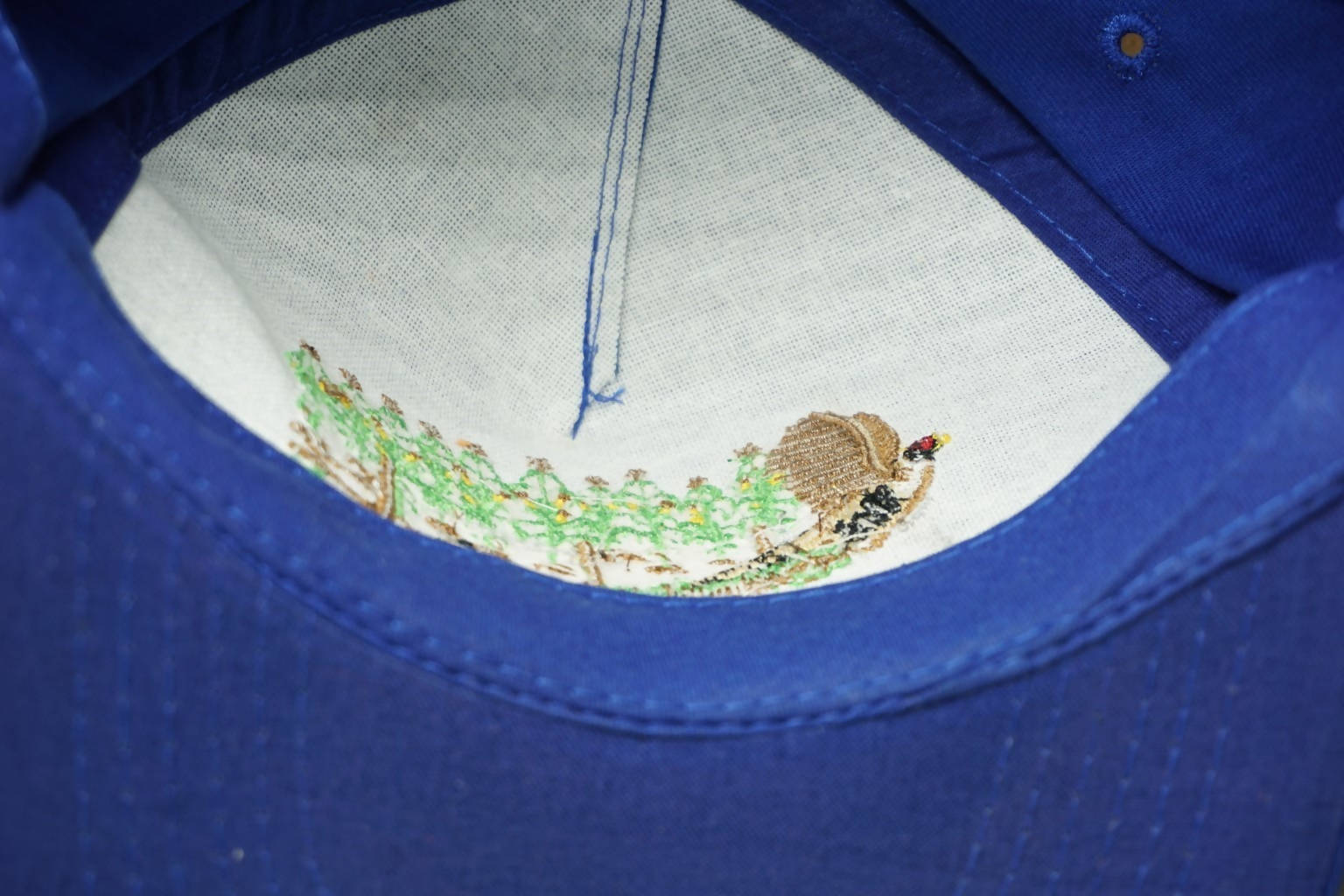 NK Seed Pheasant Hat – Camoretro