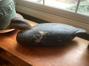 Vintage black duck decoys