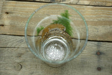Load image into Gallery viewer, Vintage White Tail Deer 4 Glasses Barware Drinkware Great Condition