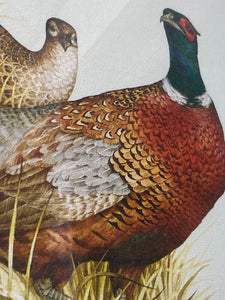 Charles E Murphy Ring Neck Pheasant Print (27”x23”)