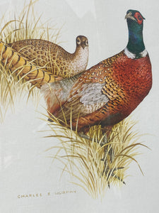 Charles E Murphy Ring Neck Pheasant Print (27”x23”)