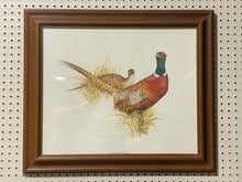 Load image into Gallery viewer, Charles E Murphy Ring Neck Pheasant Print (27”x23”)