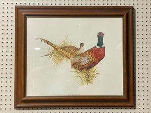 Charles E Murphy Ring Neck Pheasant Print (27”x23”)