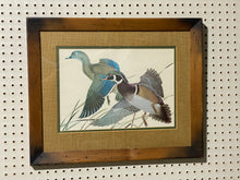 Load image into Gallery viewer, Wood Duck Print (22”x18”)