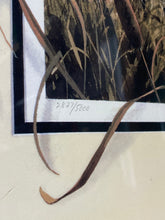 Load image into Gallery viewer, 1996 Willow Blind by Brett Smith #2827/5000 (21.5”x30.5”)