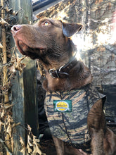 Load image into Gallery viewer, Cabela’s Shadow Grass Dog Vest (XL)