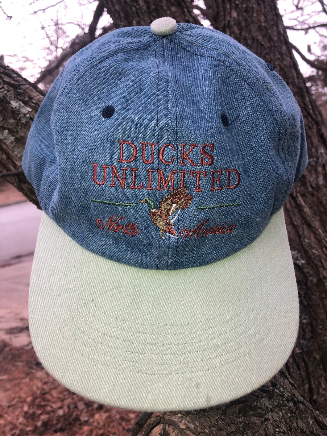Ducks Unlimited North America Hat