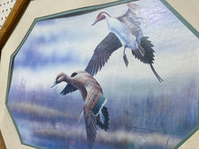 Load image into Gallery viewer, Pintail Print (31.5”x21.5”)