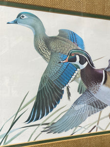 Wood Duck Print (22”x18”)