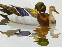 Load image into Gallery viewer, 1980 Richard Sloan Mallards Print (24”x21”)