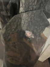 Load image into Gallery viewer, Winchester Supreme Button Down