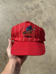 Vintage NWTF Pinstripe Snapback